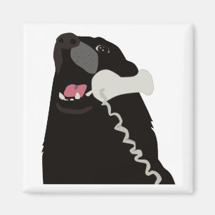 HEJER DENNA ÄR JA som HUNDEN, ringer telefonen Magnet