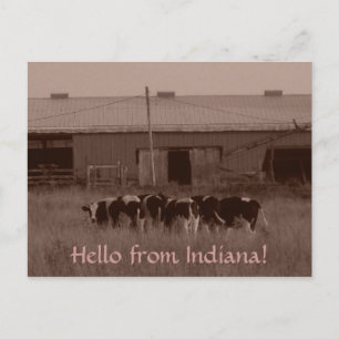 Hejer från Indiana! Vykort
