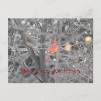 Hejer från Michigan Vykort