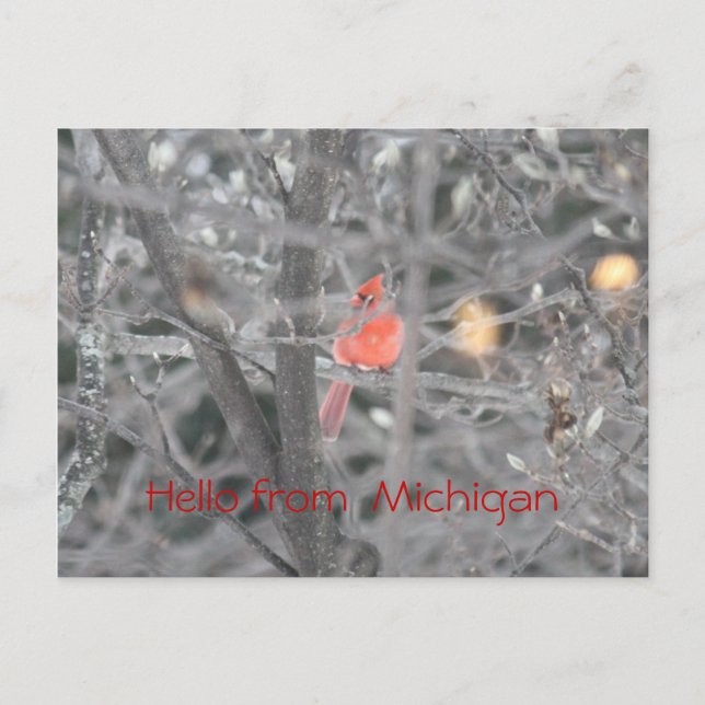Hejer från Michigan Vykort (Framsida)