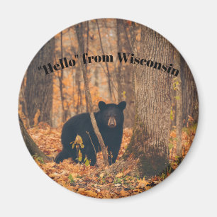Hejer från Wisconsin med den svart björnen Magnet