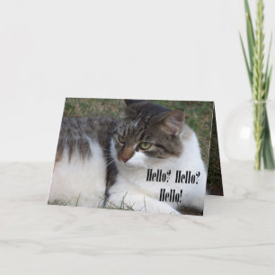 Hejer? Hejer? Hejer! Kort (för katt)