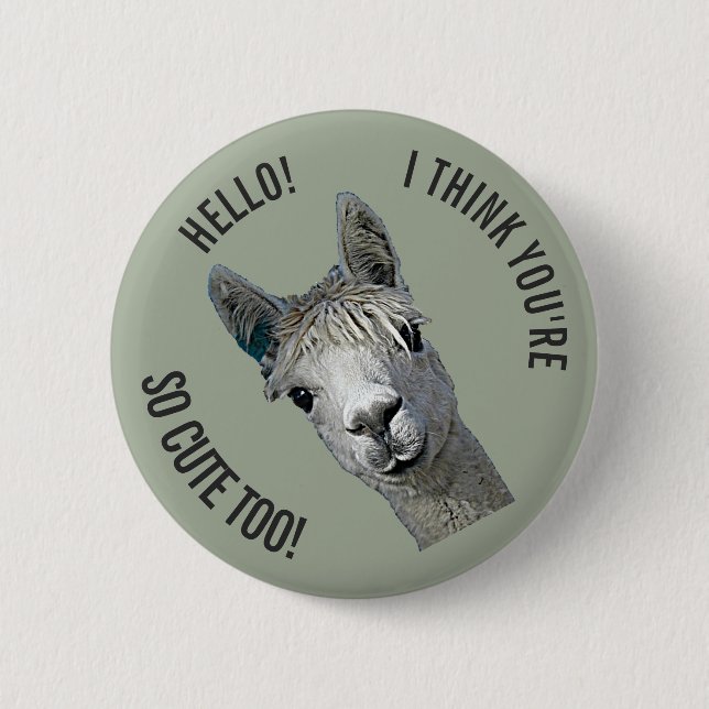 Hejer Knapp (Framsida)