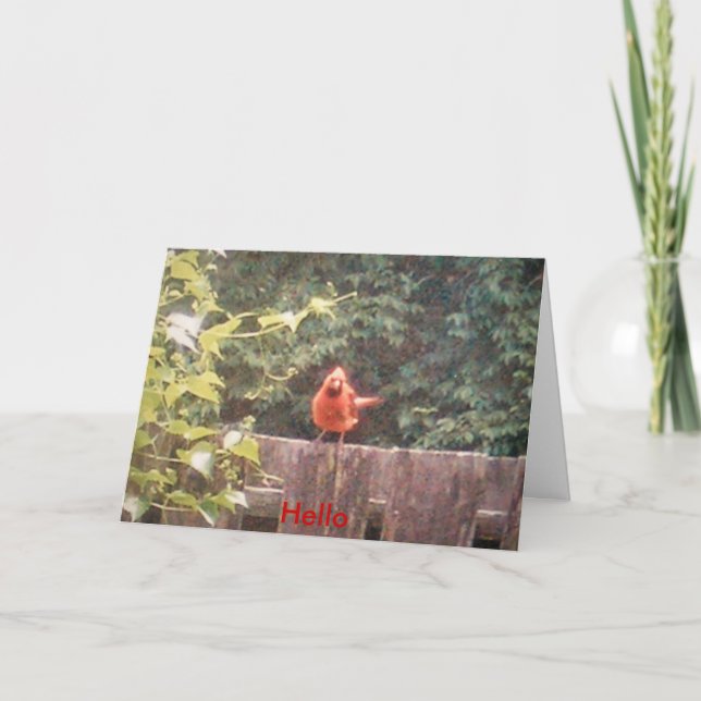 Hejer Kort (Framsida)