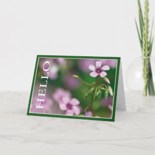 Hejer - rosa hälsningkort för Wood Sorrel Kort