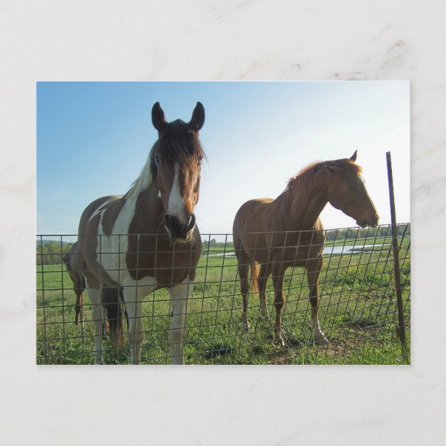 Hejer Vykort (Framsida)