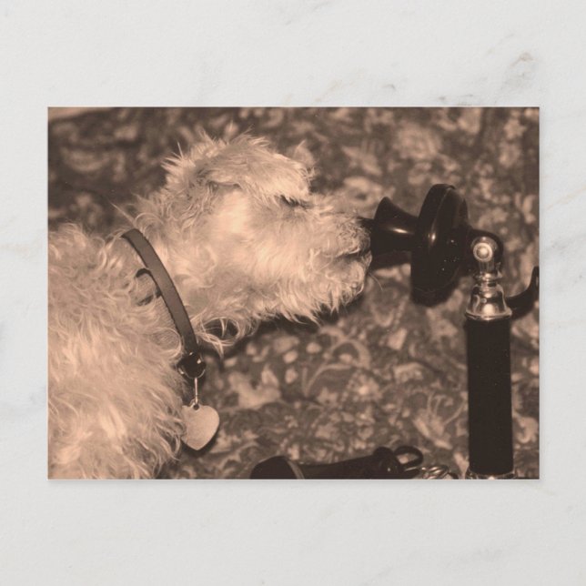 Hejer Vykort (Framsida)