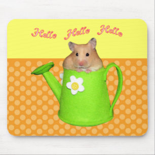 Hejhejhamster Musmatta
