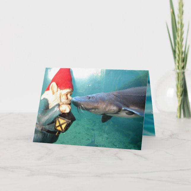 Hejherr II Kort (Framsida)