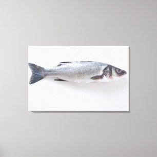 Hel branzinifisk canvastryck