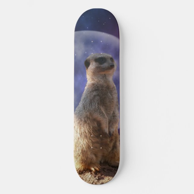 Hel och mage, Skateboard (Framsida)