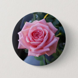 Hel rosa ros knapp