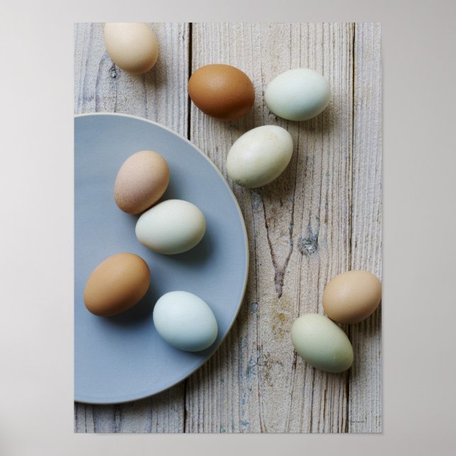 Hela ägg poster (Framsidan)