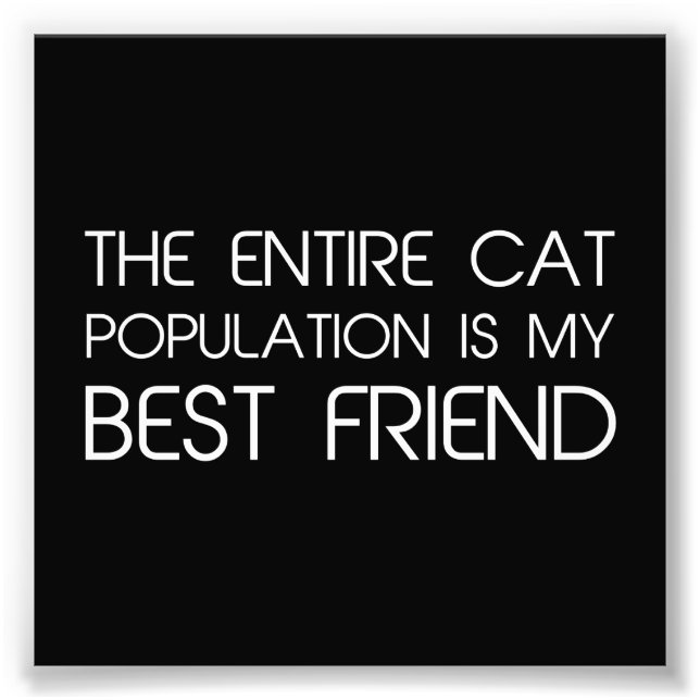 Hela kattpopulationen är min bästa vän fototryck (Framsidan)