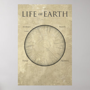 Hela livet på jorden, kartlagt på en gigantisk pos poster