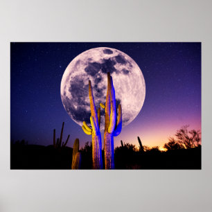 Hela månen över Saguaro Cactus Poster
