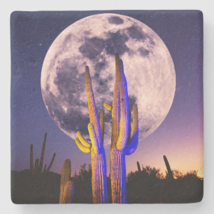 Hela månen över Saguaro Cactus Stenunderlägg