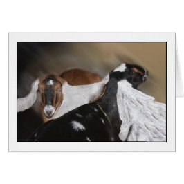 Hela Öron Hälsningskort