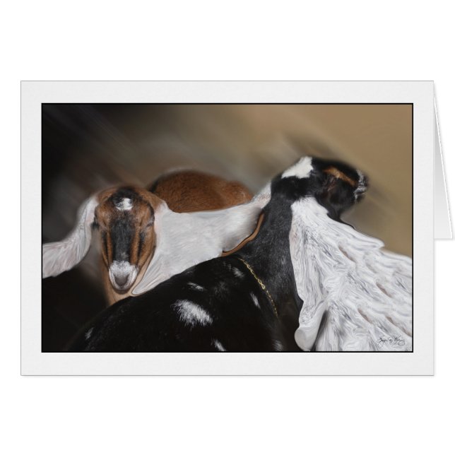 Hela Öron Hälsningskort (Framsidan Horizontal)