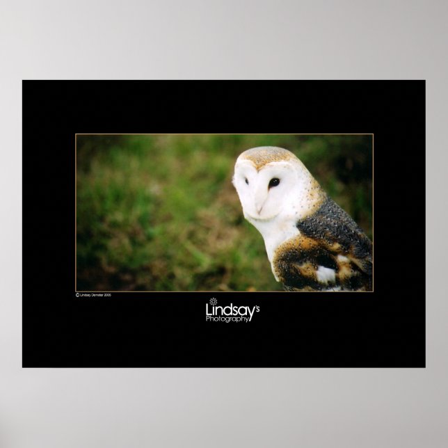 Hela Poster (Framsidan)