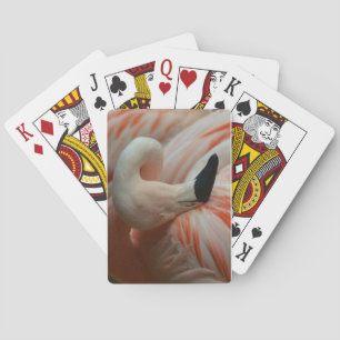 Hela sak Flamingo! Kortlek