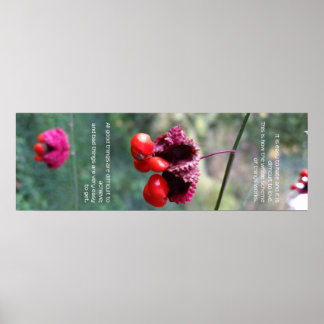 Hela Sak-programmet Poster