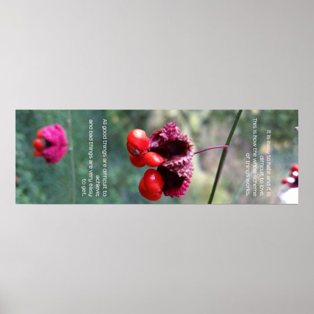 Hela Sak-programmet Poster (Framsidan)