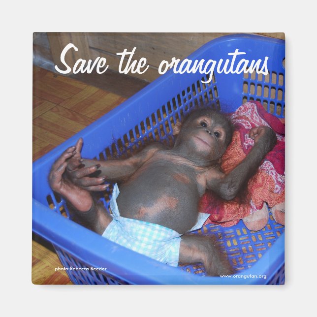 Hela Spädbarn behöver Kärlek Magnet (Framsidan)