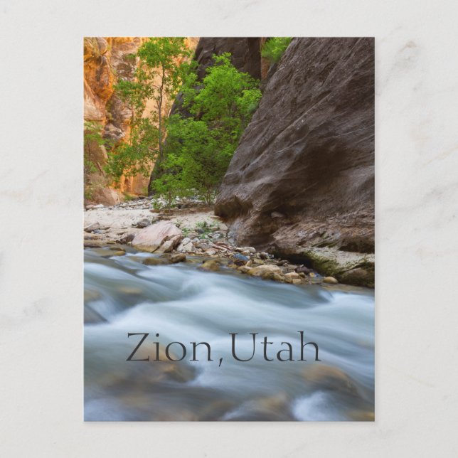 Hela tiden längs Narrows Vykort (Framsida)