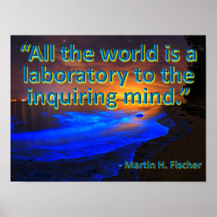 Hela världen är ett laboratorium poster