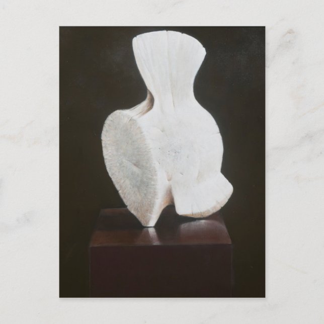 Hela Vertebra 2012 Vykort (Framsida)