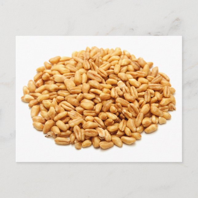 Hela vetekorn vykort (Framsida)