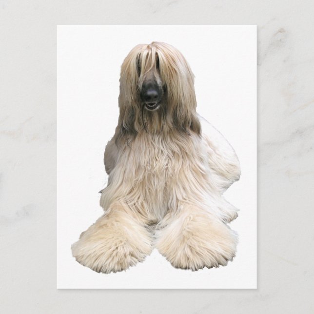 Helaine's Afghan Vykort (Framsida)