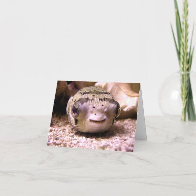 Helaines BlowfishPufferfish Kort (Framsida)