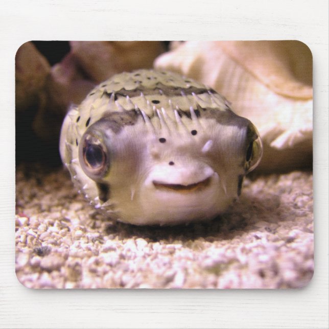 Helaines BlowfishPufferfish Musmatta (Framsidan)
