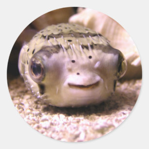 Helaines BlowfishPufferfish Runt Klistermärke