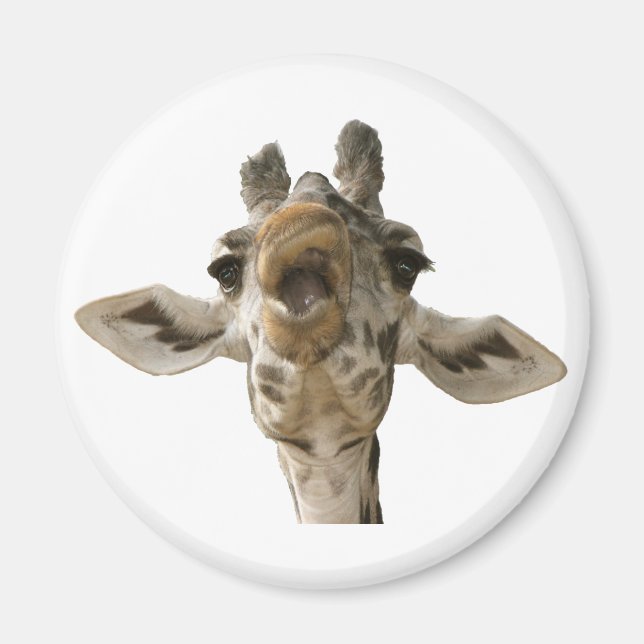 Helaines Goofy Giraffe Magnet (Framsidan)