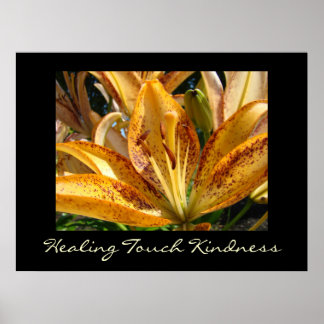 Helande beröring Snällhet konsttryck Orange Lily Poster