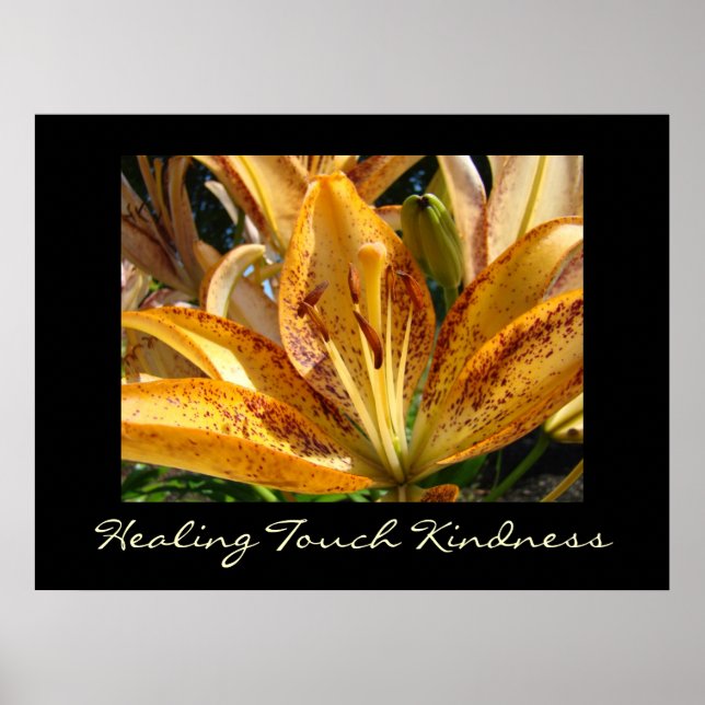 Helande beröring Snällhet konsttryck Orange Lily Poster (Framsidan)