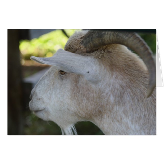 Helen OBS Kort (Framsidan Horizontal)