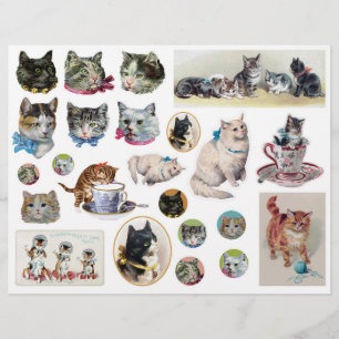Helena Maguire och andra vintage kattsnippets