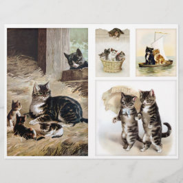 Helena Maguire Vintage Katter och Kattungar Fussy
