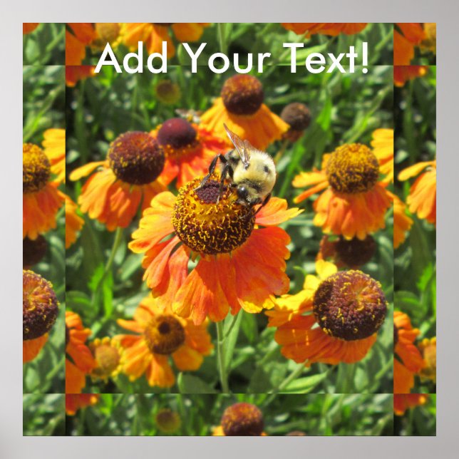 Helenium Bee Orange Flower Poster (Framsidan)