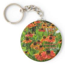 Helenium ’Snyzeweed’