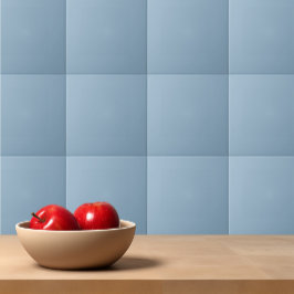 Helfylld färg-blek (blå) kakelplatta