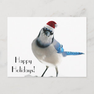Helgdag Blue Jay Helg Vykort