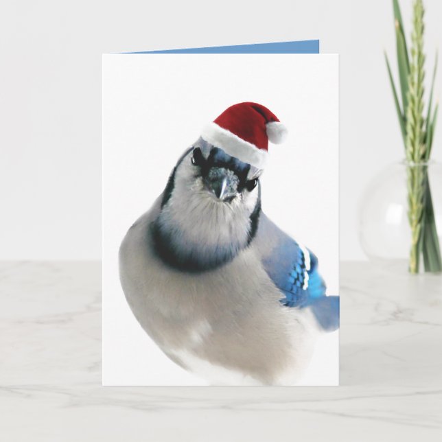 Helgdag Blue Jay Helgkort (Framsida)