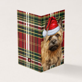 Helgdag Cairn Terrier Hund Red Play jul Kort