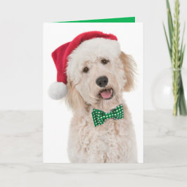 Helgdag Card med gyllene dörr Kort