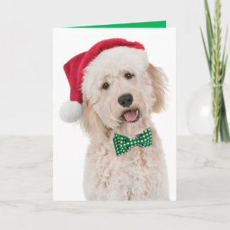 Helgdag Card med gyllene dörr Kort